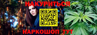 молекула духа Шебекино