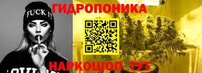 молекула духа Шебекино