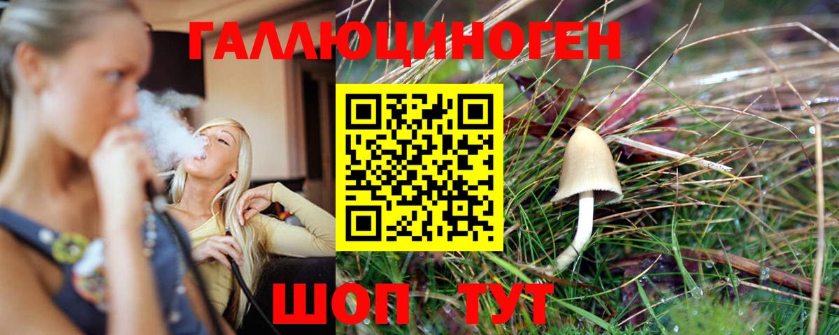 Галлюциногенные грибы GOLDEN TEACHER  Вход с VPN  Серов  Псилоцибиновые грибы MAGIC MUSHROOMS 